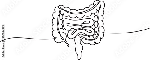 a-minimalist-line-drawing-of-the-human-l_yYqdPbJlSWyII_ysYdSH6w_4qn5XHzvRomFJUZKgk5XEQ_traced