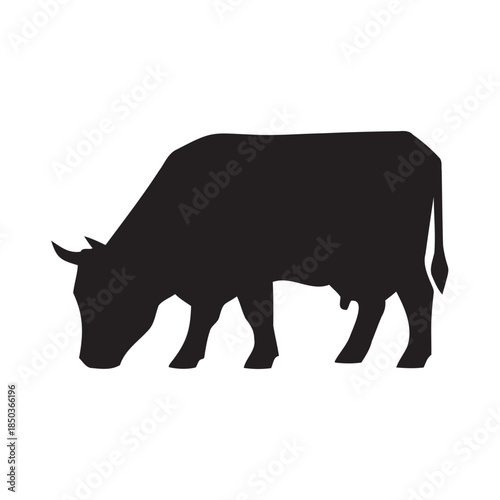 Dark gray cow silhouette against black background grazing peacefully
