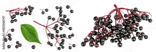 Ripe black elderberry or elder isolated on a white background. Sambucus. Top view. Flat lay