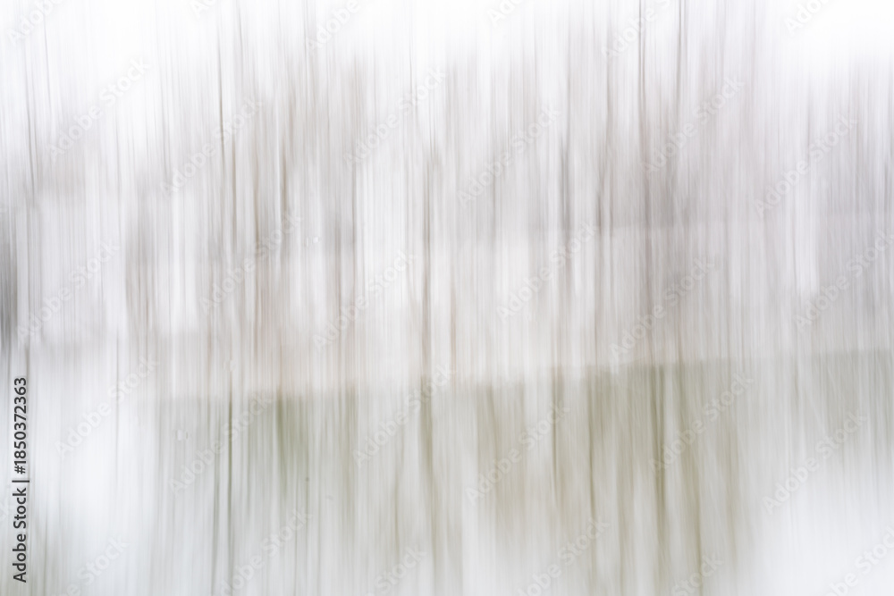 Obraz premium Abstract Winter Forest Motion Blur - Vertical Lines. High quality photo