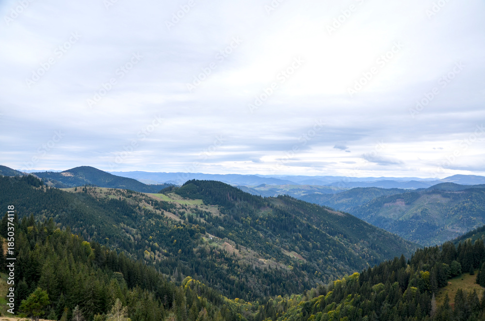 Naklejka premium Expansive view of mountain valleys lined with evergreen forests and scattered meadows. Soft clouds drift over the ridges, conveying tranquility in a serene highland landscape. Carpathian Mountains