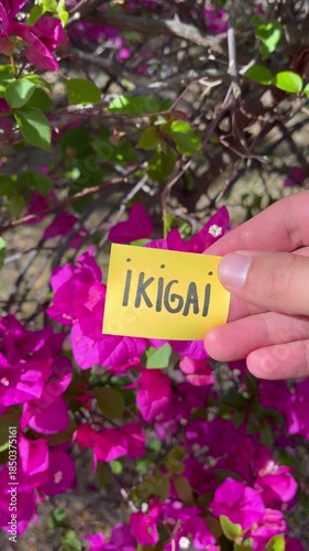 ikigai meaning of life concept