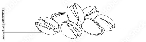 pistachio nuts line art vector illustration