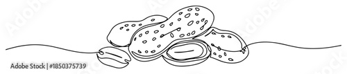 peanuts in shell line art vector illustration