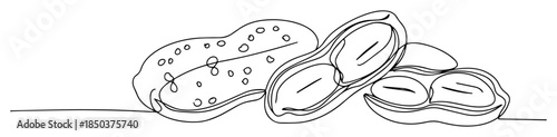 one single continuous line drawing of peanuts in shell