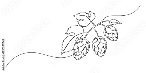 one continuous line drawing of a hop branch for beer making