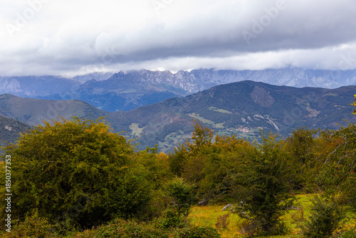 Preparando el otoño.  Bosque a principios de otoño. Poco a poco va adquiriendo color.