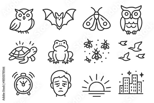Environmental Icons Collection. Line style icons of environmental effects: nocturnal bird, bat, moth, owl; disturbed turtle, frog,