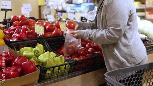 Customer bagging fresh tomatoes at supermarket produce section. Plastic bag of vegetables placed into shopping basket for healthy grocery concept