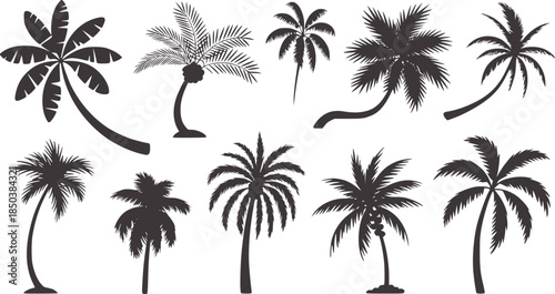 Nine black palm tree silhouettes in minimal flat style white