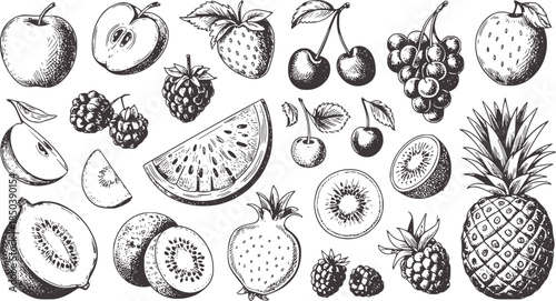 Black and white hand drawn assorted fruits apples strawberries