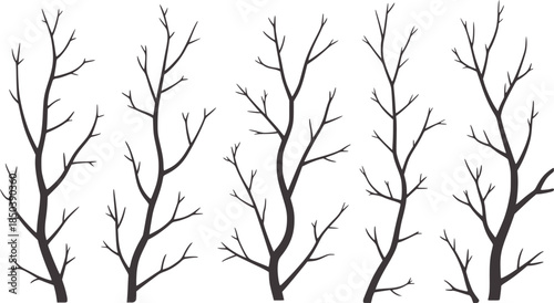 Black silhouette branches white with minimalist trees