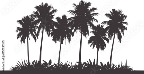 Black silhouette cluster of tall palm trees with foliage