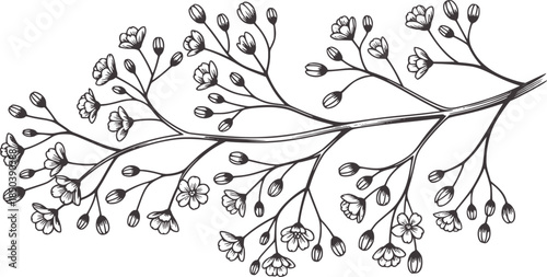 Detailed black and white botanical branch with flowers and buds