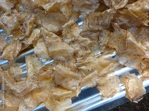 Drying raw Jengkol crackers in The Yard
