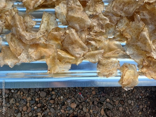 Drying raw Jengkol crackers in The Yard