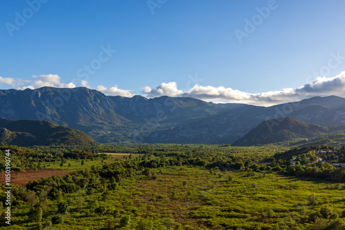 Natural green landscape with trees and mountains in the distance