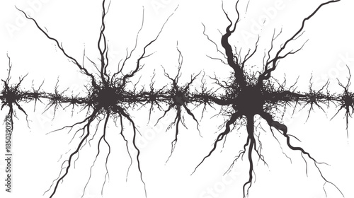 Monochrome digital of a neuron cell with dendrites and axon