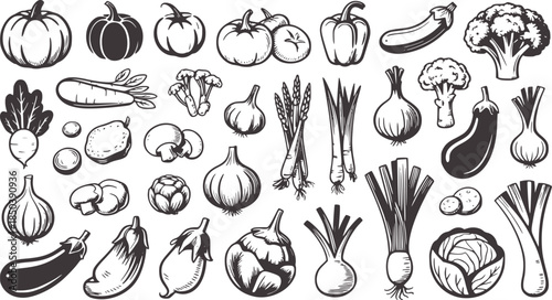 Monochrome Illustrated Assorted Vegetables Line pumpkins