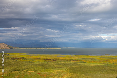 Golden grassy landscape under cloudy sky