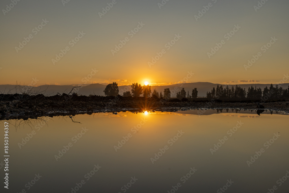 Naklejka premium Sunset over water with distant trees