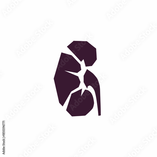 Broken Kidney Icon Symbol Medical Health Concept.