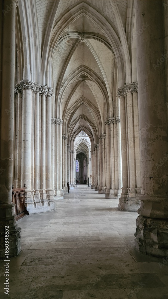 Fototapeta premium Belle perspective architecturale sur l'une des contre-allées de la Cathédrale Saint-Pierre-et-Saint-Paul de Troyes (Champagne, France)