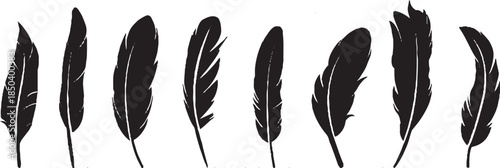 Pen feather icon simple style vector image. Feathers vector set in a flat style. isolated feathers silhouette.