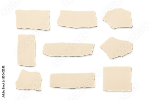 Wallpaper Mural Torn paper pieces with ragged edges, blank beige scraps for notes, labels, or vintage design elements on transparent background Torontodigital.ca