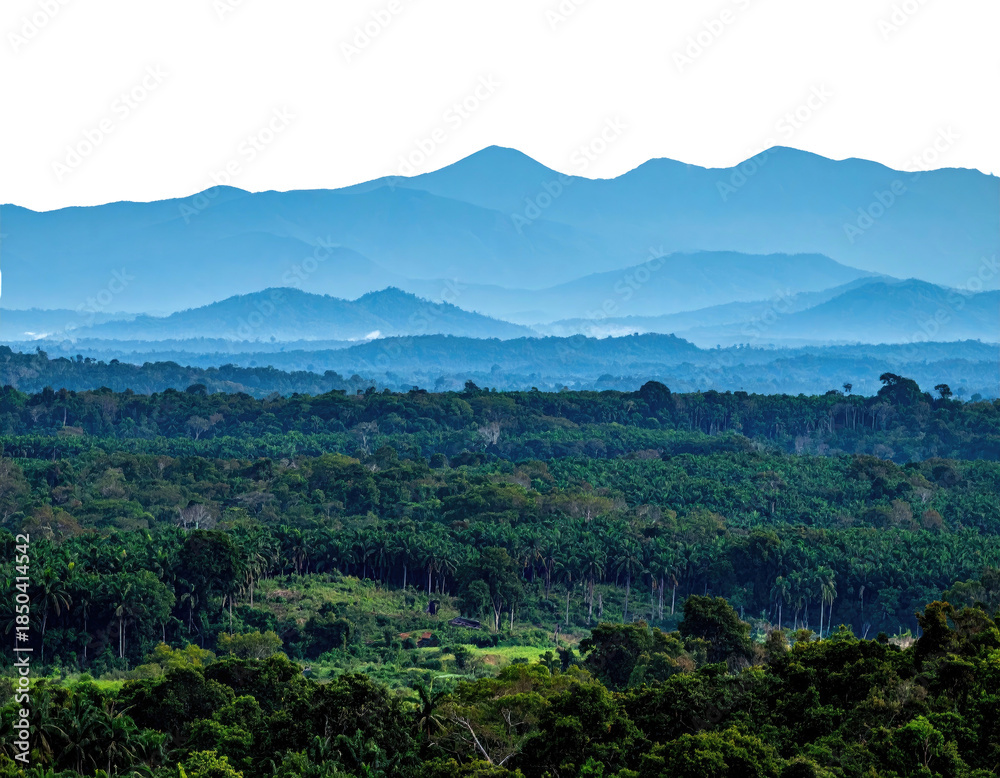 Obraz premium Rolling hills covered in lush greenery, leading to distant blue-hued mountain ranges