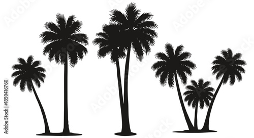 A collection of diverse black palm tree silhouettes, rendered as a scalable vector graphic, perfect for tropical design projects and summer themes.