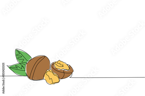 Continuous one line drawing whole walnut, half opened, just the kernel, leaves. Ideal weight maintaining snack for those who consume. National Walnut Day. Single line draw design vector illustration