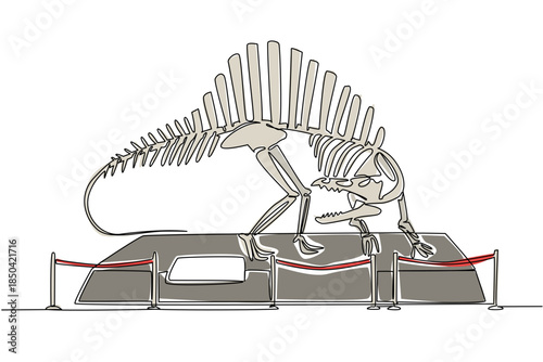 Continuous one line drawing spinosaurus dinosaur skeleton in museum room. History lessons of animals in the past. Tall. Big. International Museum Day. Single line draw design vector illustration