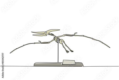 Single continuous line drawing pteranodon dinosaur skeleton in museum room. Wild animals flying in the past. Becoming a human threat. International Museum Day. One line design vector illustration