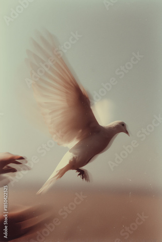 Paloma blanca en vuelo, símbolo de libertad y esperanza, Paloma en movimiento, representando la paz y la serenidad, espíritu santo, Dios esperanza y alegría en el corazón