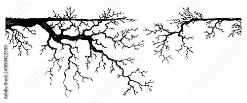 Detailed bare tree branches with texture in black and white sketch style vector