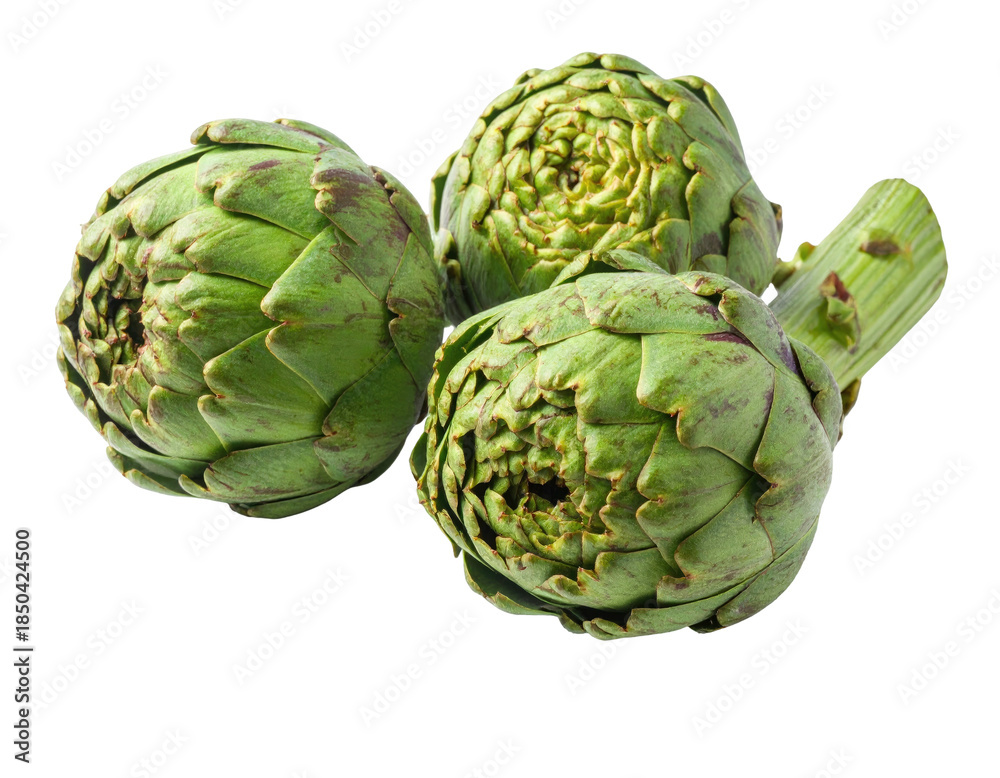 Fototapeta premium Three fresh artichokes, green and spiky, arranged on a black background