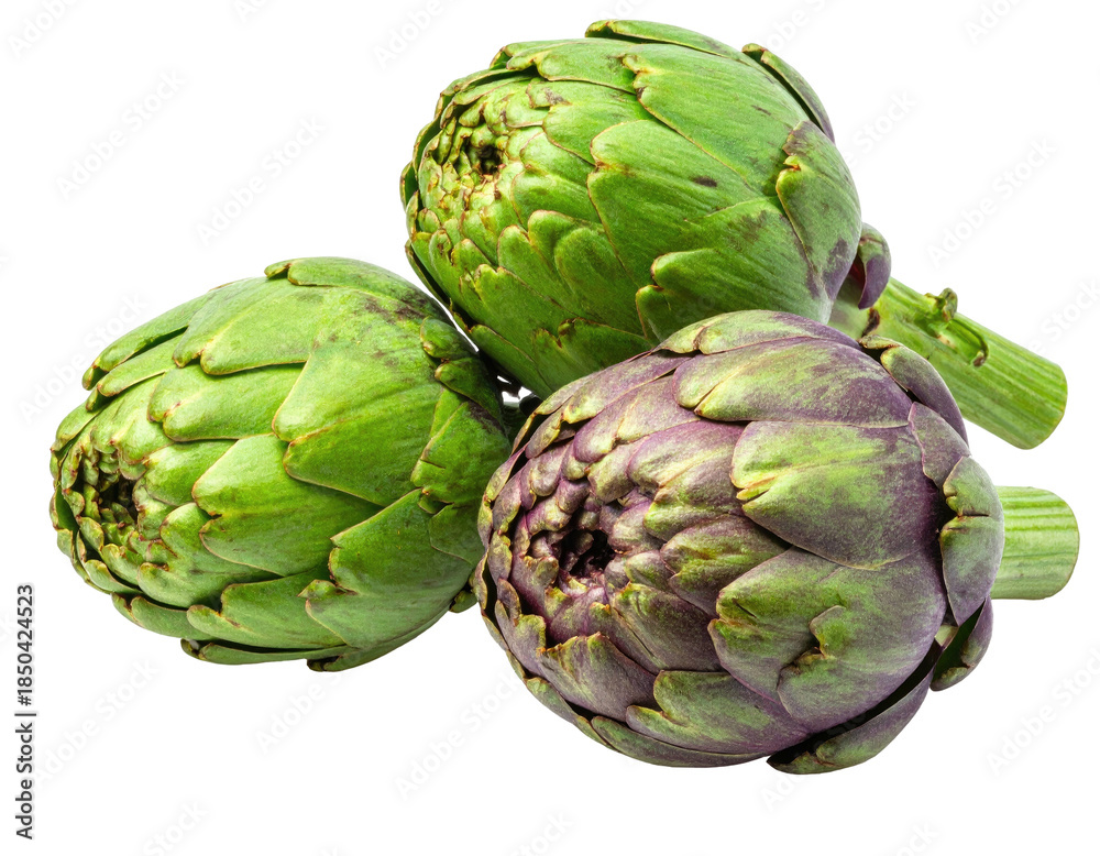 Obraz premium Close-up of three globe artichokes with green and purple hues, isolated on black
