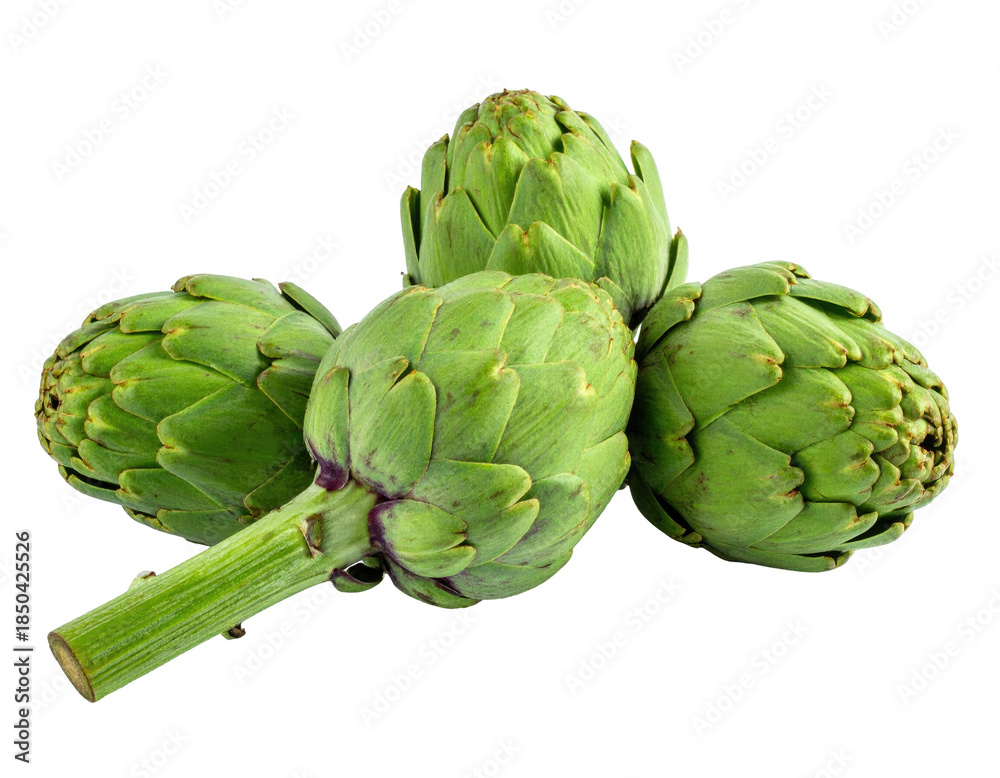 Fototapeta premium Four fresh, green artichokes on a transparent background. Edible buds ready for culinary use