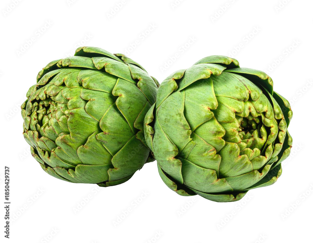 Fototapeta premium Two green artichokes on a transparent background, showcasing their intricate, layered leaves