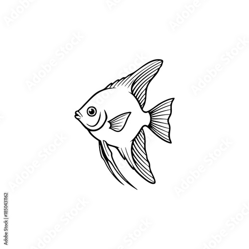 angelfish black and white outline illustration