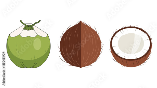 Tropical coconut progression: fresh green, mature brown, and perfectly halved for consumption.