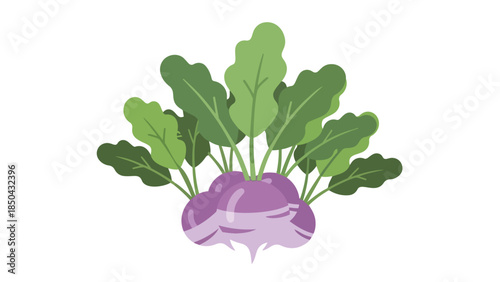 A vibrant illustration of a fresh purple root vegetable with lush green foliage, symbolizing healthy eating and natural produce in a clean, graphic