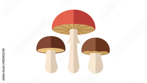 A charming digital illustration of a vibrant forest fungus trio showcasing a prominent red-capped mushroom flanked by two smaller brown varieties,