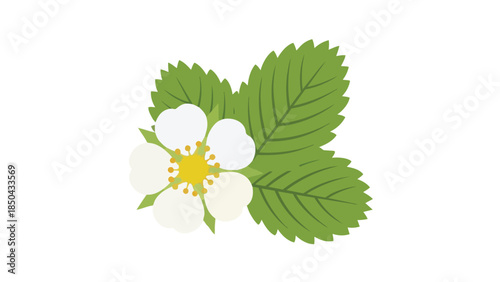 Charming botanical illustration featuring a fresh strawberry blossom with vibrant green foliage depicted in a crisp, clean style for various design