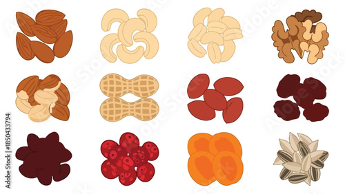 Diverse Collection of Nutrient-Rich Nuts Dried Fruits and Seeds Vector Illustration for Healthy Snacking