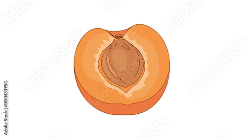 Vibrant illustrative depiction of a juicy ripe peach cut open to reveal its textured stone, fresh fruit graphic for healthy eating concepts and