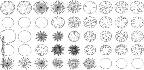 Top-down view of various trees and circular shapes in a monochrome line drawing style