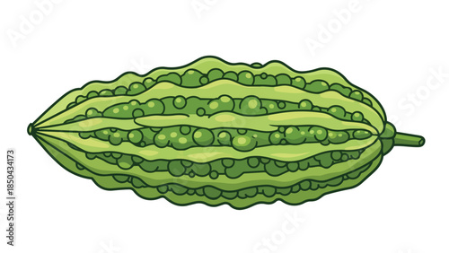 Vibrant green bitter melon illustration, showing its unique elongated shape and distinctive textured surface, perfect for healthy culinary or
