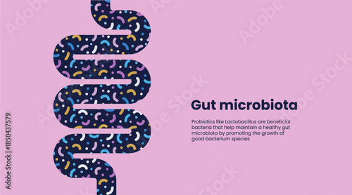 Vector banner with healthy gut featuring intestine, probiotics, prebiotics, and beneficial bacteria for optimal digestion.